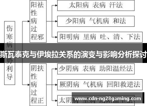 斯瓦泰克与伊埃拉关系的演变与影响分析探讨