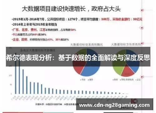 希尔德表现分析：基于数据的全面解读与深度反思