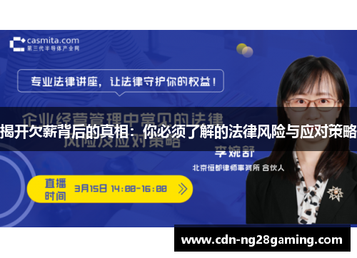 揭开欠薪背后的真相：你必须了解的法律风险与应对策略