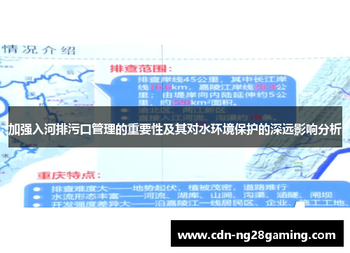 加强入河排污口管理的重要性及其对水环境保护的深远影响分析