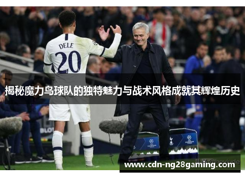 揭秘魔力鸟球队的独特魅力与战术风格成就其辉煌历史