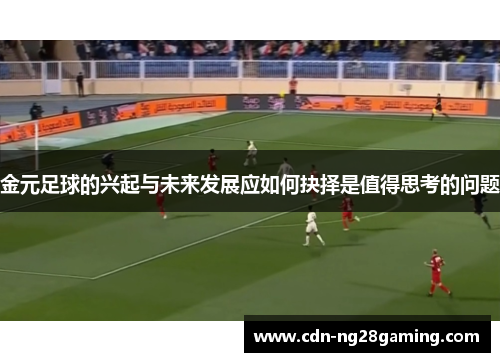 金元足球的兴起与未来发展应如何抉择是值得思考的问题 金元足球的兴起与未来发展应如何抉择是值得思考的问题
