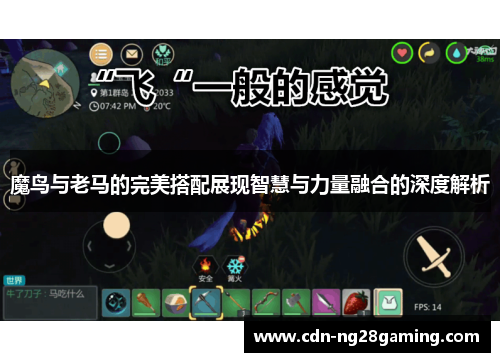 魔鸟与老马的完美搭配展现智慧与力量融合的深度解析