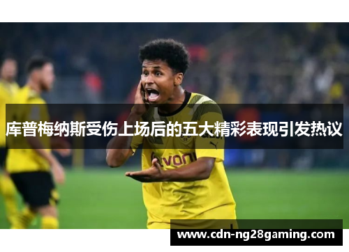 库普梅纳斯受伤上场后的五大精彩表现引发热议