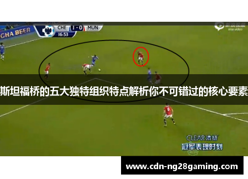 斯坦福桥的五大独特组织特点解析你不可错过的核心要素 斯坦福桥的五大独特组织特点解析你不可错过的核心要素