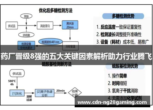 药厂晋级8强的五大关键因素解析助力行业腾飞