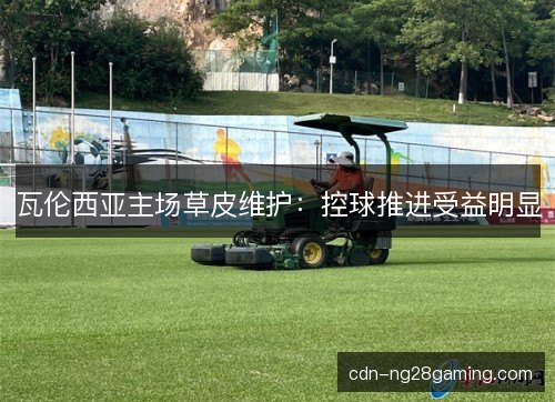 瓦伦西亚主场草皮维护：控球推进受益明显